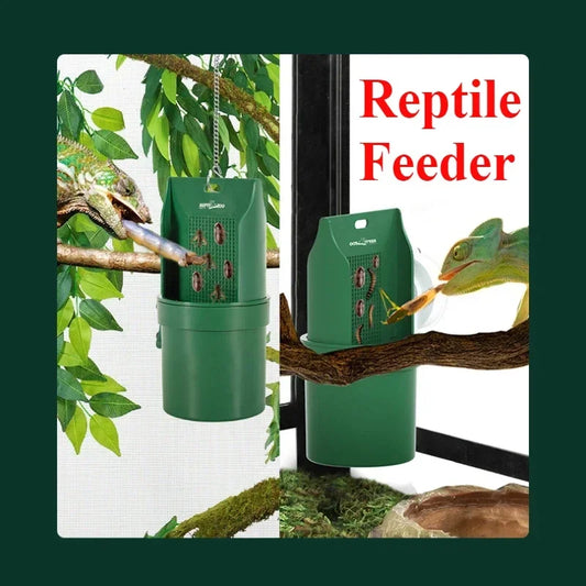 20X10cm Reptile Water Drinker