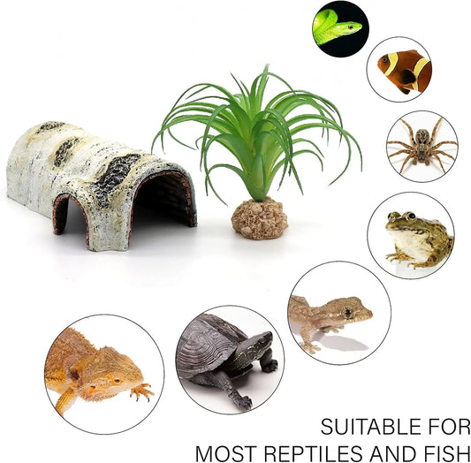 Pets Lizard Turtle Reptile Hide Cave