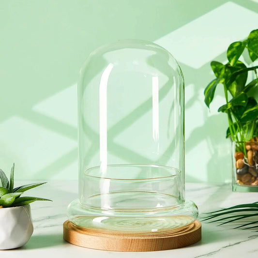 Tabletop Display Clear Airhole Glass Dome
