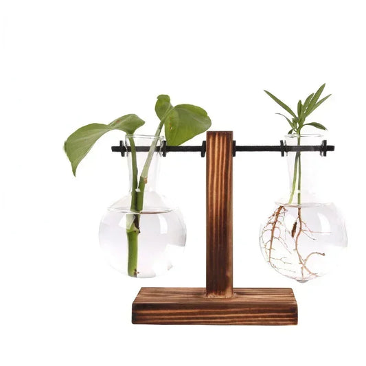 Bulb Glass Vase with Wooden Stand