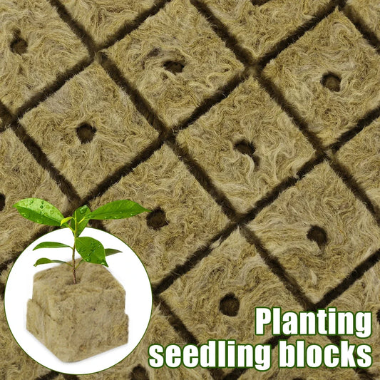 Seedling Grow Cubes