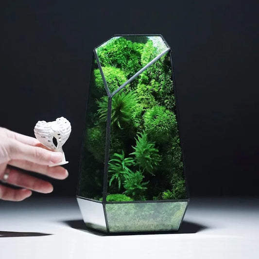 Irregular Succulent Water Plant Vase