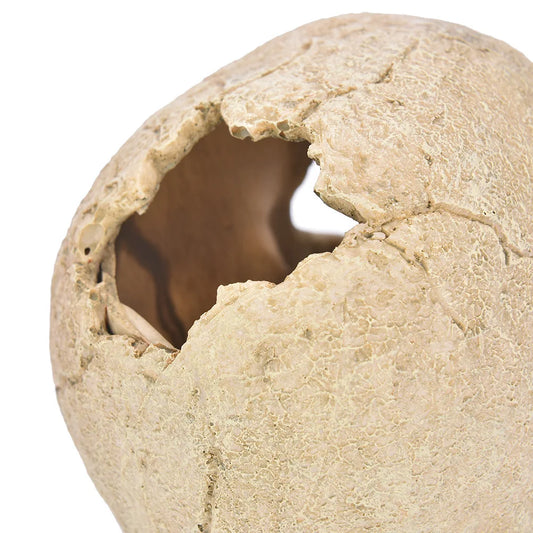 Skull Resin Reptile Hide Cave