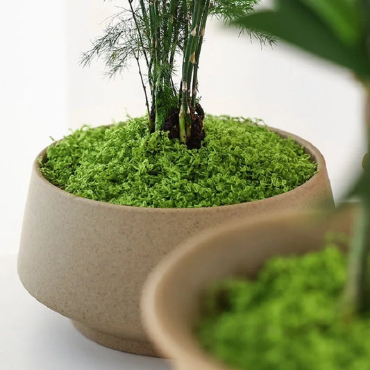 Green Fake Moss DIY Crafts