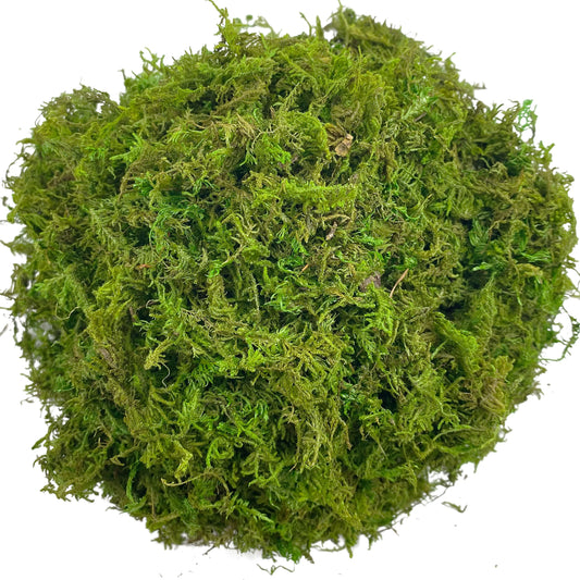 Artificial Moss Green for Potted Plant
