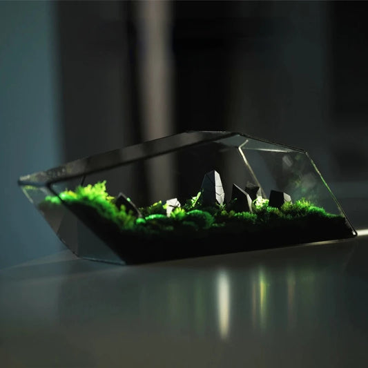 Geometric Glass Micro Landscape Planter