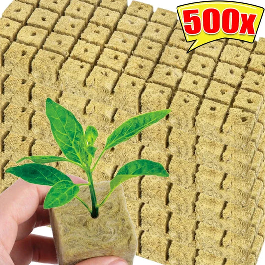 Seedling Grow Cubes
