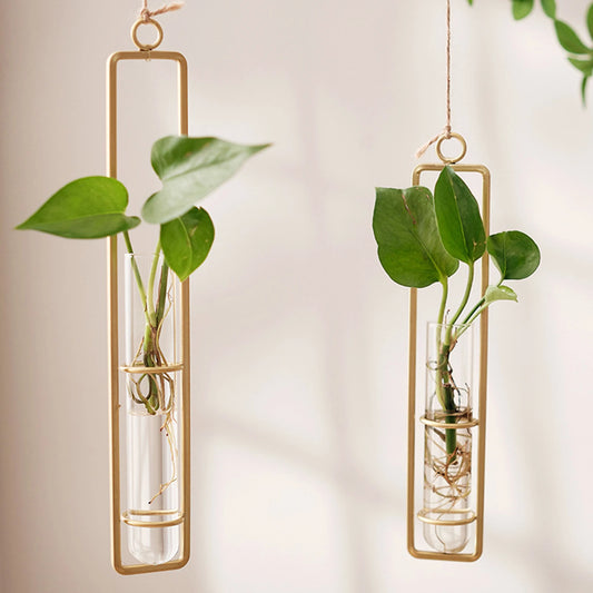 Nordic Hanging Clear Glass Tube Vases
