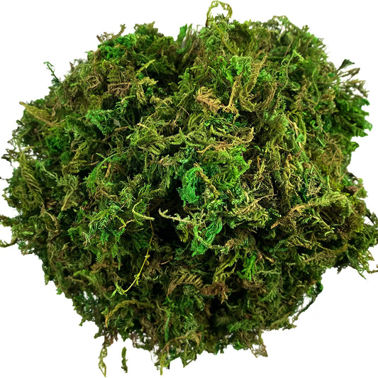 Artificial Moss Green for Potted Plant