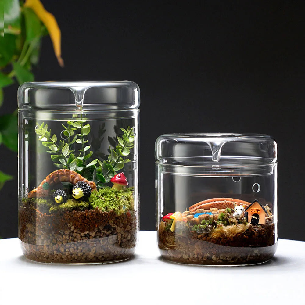 dew-collection-glass-vase