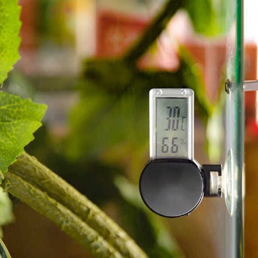 Digital Reptile Thermometer Hygrometer