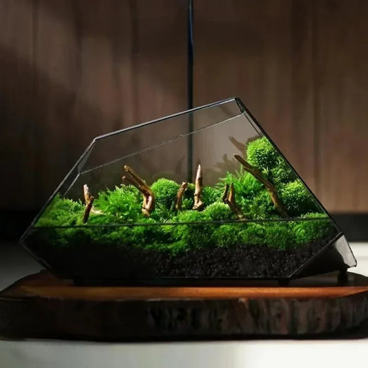 Geometric Glass Micro Landscape Planter