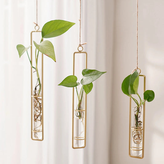 Nordic Hanging Clear Glass Tube Vases