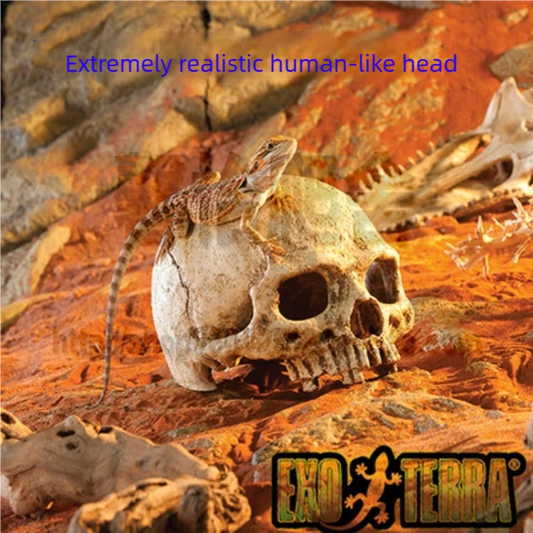 Skull Resin Reptile Hide Cave