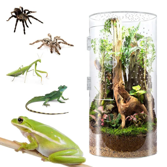 Transparent Reptile Breeding Box