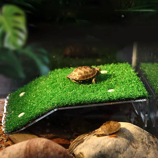 Turtle Platform Float Decoration